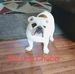 Earl Cline - Facebook