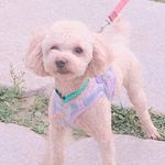 👂🏻Earlginity - @earlginitycloud - Instagram