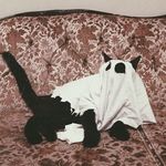 @earlgreysandcloudydays - Instagram