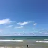 Pearl | 진주 - @pearl.cloud1 - TikTok