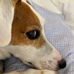 Deacon_Earle_Clovis - @deacon_earle_clovis - Instagram