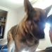 Earl Coffman - Facebook