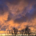 Colter Earley - @colterearley - Instagram