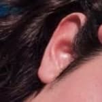 conans ears 👂🏻 - @conangraysears - Instagram