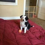 Earle Connell - Facebook