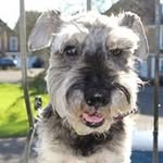 Sheila Earl O'Connor - @earloconnor - Instagram