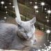 Earl Cooke - Facebook