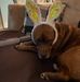 L Earl Crowley - Facebook