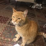 Earl curry - @earlmon1225 - Instagram