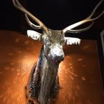 Earl Daily - @dailyearl - Instagram
