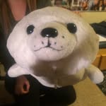 Earl Dhanjal - @earl_daily - Instagram