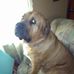 Earl Dalman - Facebook