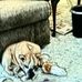 Earl Daly - Facebook