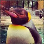 Earl Damron - @leemotepef - Instagram