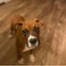 Earline Damron - Facebook