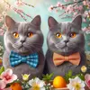 Dexter & Earl 🐾 - @dexter.and.earl - TikTok