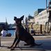 Tomtel's Earl of Darian "Dexter" - Facebook