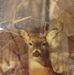 Earl Dimmick - Facebook