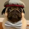 Earl Dodgen - @earldodgen882 - TikTok