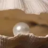 pearldodge - @pearldodge - TikTok