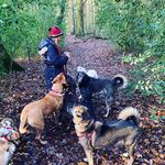 Julie Earl Dorman - @julieearldorman - Instagram