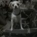 Earl Driggers - Facebook