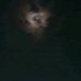 Earl Drumm - Facebook