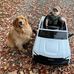Earl Dutton - Facebook