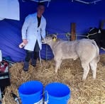 Padraig Earley - Facebook
