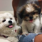EARL + EDGAR - @earl_and_edgar - Instagram