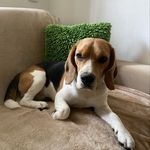 Tereza Frýdmanová - @earl_edgar_sunnyside - Instagram