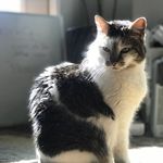 Earl Edmond - @earledmundesquirethe3rd - Instagram