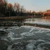 mearledmond331 - @mearledmond331 - TikTok
