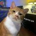 Earl Alz - Facebook
