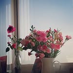 @earlgrey.elderflower - Instagram