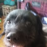 Earl Eldridge - @earl.eldridge.98 - Instagram