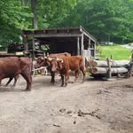 Earl Endrich - @eendrich - Instagram