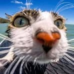 Endrich Erl - Facebook