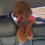 Earl Dennis - @earl.dennis.5811 - Instagram