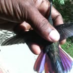 Earl Ennis - Facebook