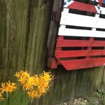 Earle Richard - @earle.richard1961 - Instagram