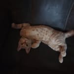 Earl Estes - @earlestes - Instagram
