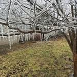 Earl Estes - @earl_estes - Instagram