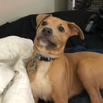 Earl Farris - @my_name_is_earl_2018 - Instagram