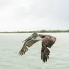 earleyfarris - @earleyfarris - TikTok