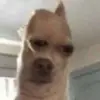 Fetzer - @fetzerrrr - TikTok