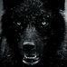 Earl Fiddler - Facebook