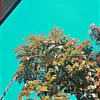 Gee_ Earl - @gee_earl2705 - TikTok