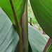 Earl Geer - Facebook
