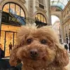 earlgerald734 - @earlgerald734 - TikTok